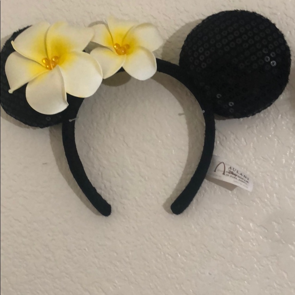 Aunthentic disney ears!